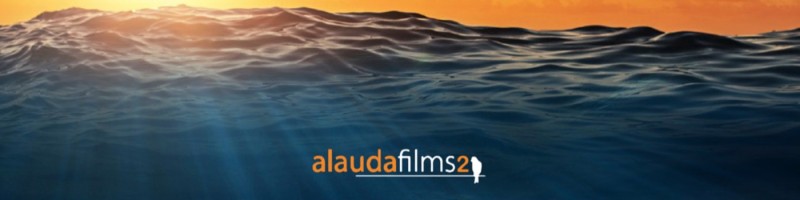 Jean Marc AUCLAIR - Auteur Producteur - Alauda Films 2 / MEDIAWAN | LinkedIn