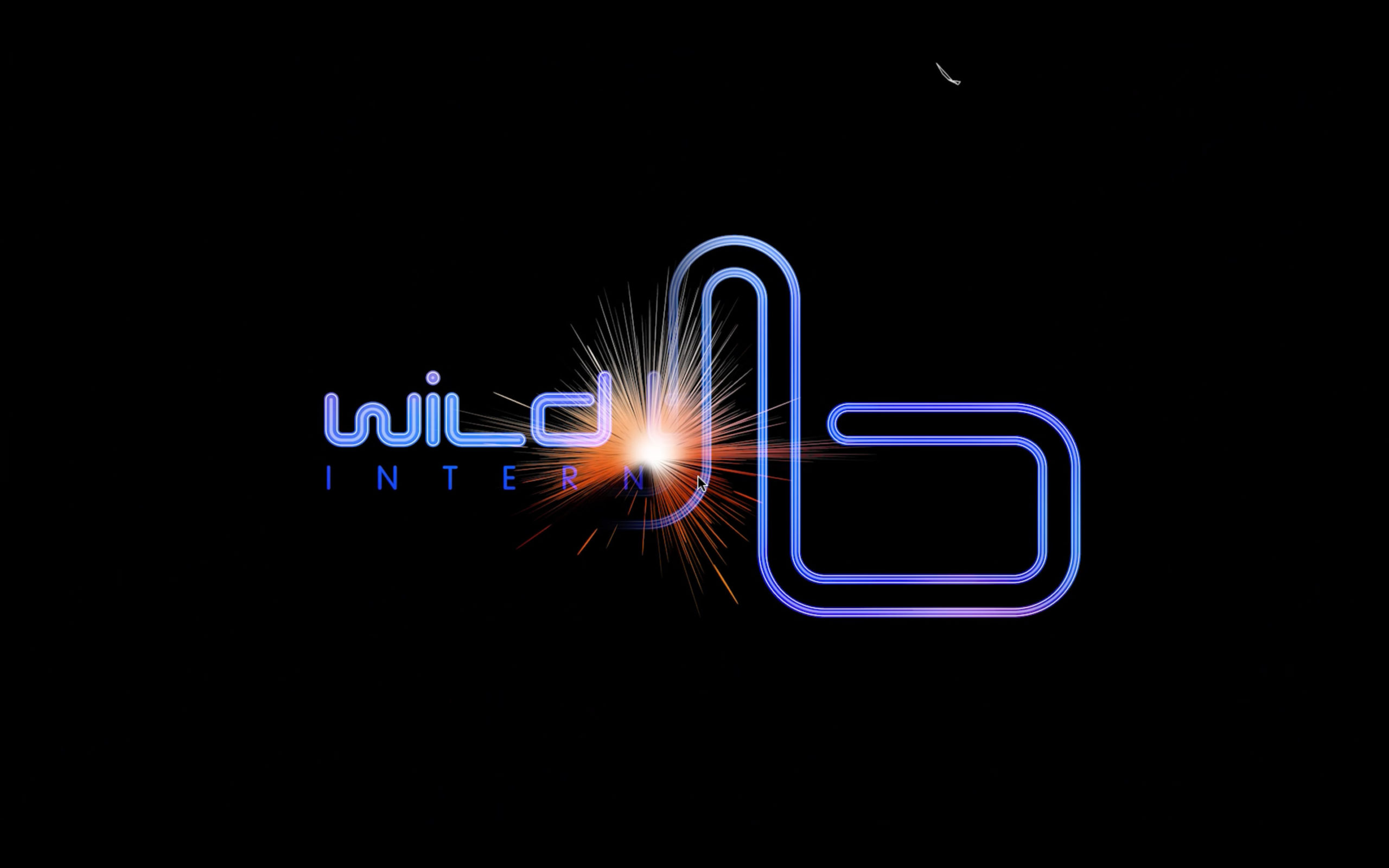 LOGO WILD BUNCH | IIW STUDIO